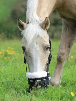 SHIRES EQUESTRIAN Cribbing & Muzzles|Shires Deluxe Grass Muzzle