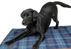 SHIRES EQUESTRIAN Dog Beds|Shires Digby & Fox Large Tweed Blanket