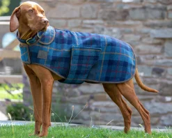 SHIRES EQUESTRIAN Dog Blankets|Shires Digby & Fox Tweed Dog Coat