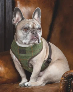 SHIRES EQUESTRIAN Collars & Leashes|Shires Digby & Fox Tweed Dog Harness