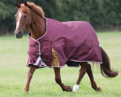 SHIRES EQUESTRIAN Turnout Blankets|Shires Highlander 100G Blanket