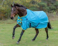 SHIRES EQUESTRIAN Turnout Blankets|Shires Highlander 100G Blanket