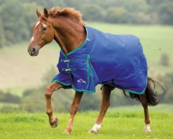 SHIRES EQUESTRIAN Turnout Blankets|Shires Highlander 200G Blanket