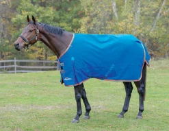 SHIRES EQUESTRIAN Turnout Blankets|Shires Highlander 200G Blanket