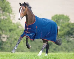 SHIRES EQUESTRIAN Turnout Blankets|Shires Highlander 300G Blanket