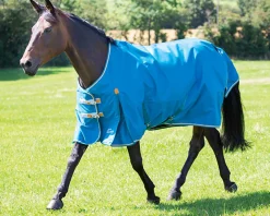 SHIRES EQUESTRIAN Turnout Blankets|Shires Highlander Lite Turnout Sheet