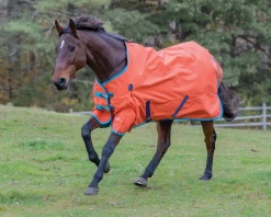 SHIRES EQUESTRIAN Turnout Blankets|Shires Highlander Lite Turnout Sheet
