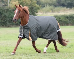 SHIRES EQUESTRIAN Turnout Blankets|Shires Highlander Lite Turnout Sheet