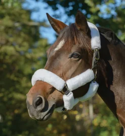 SHIRES EQUESTRIAN Trailering|Halter Accessories|Shires SupaFleece Halter Fleeces - 9 piece set