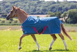 SHIRES EQUESTRIAN Turnout Blankets|Shires Tempest Original Lite Turnout Sheet