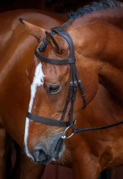 SHIRES EQUESTRIAN English Bridles|Shires Velociti Rapida Hunter Caveson Bridle