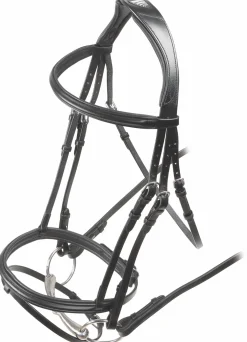 SHIRES EQUESTRIAN English Bridles|Shires Velociti Rapida Padded Raised Flash Bridle