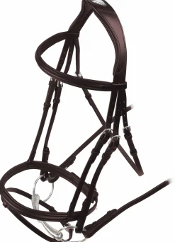 SHIRES EQUESTRIAN English Bridles|Shires Velociti Rapida Padded Raised Flash Bridle