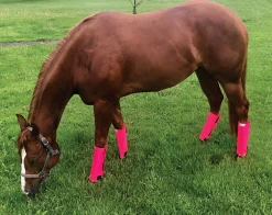 ANIMAL HEALTH INT Fly Control|Fly Boots|Shoofly Leggins™ Set of 4