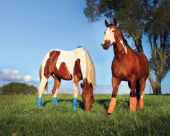 ANIMAL HEALTH INT Fly Control|Fly Boots|Shoofly Leggins™ Set of 4