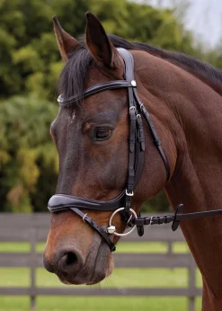 GLOBAL EXPORTS English Bridles|Showmark® Ergonomic Flash Bridle