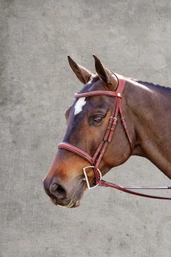 PUSHKAR INTL English Bridles|Showmark® Ergonomic Hunter Bridle