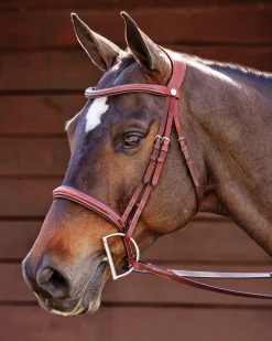 PUSHKAR INTL English Bridles|Showmark® Ergonomic Hunter Bridle