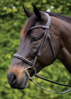 PUSHKAR INTL English Bridles|Showmark® Ergonomic Hunter Bridle