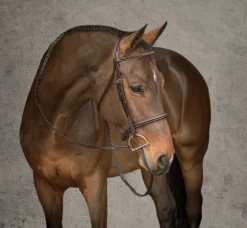 HARMOHN KRAFT English Bridles|Showmark® Premier Hunter Bridle