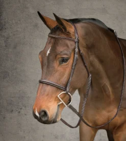 HARMOHN KRAFT English Bridles|Showmark® Premier Hunter Bridle