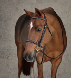 HARMOHN KRAFT English Bridles|Showmark® Premier Padded Pony Hunter Bridle