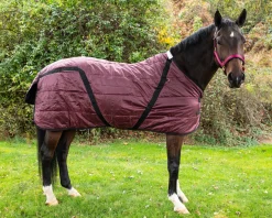 INTREPID INTL Stable Blankets|Snuggie Heavyweight Stable Blanket, Large