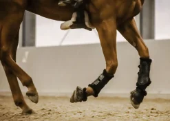 STUBBEN N.A. Horse Boots|Stübben Airflow Fleece-Lined Brushing Boots