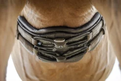 STUBBEN N.A. Girths & Accessories|Stübben Equi-Soft® Girth