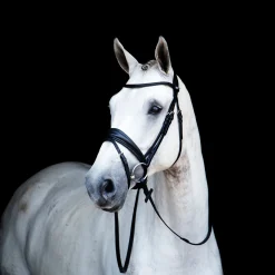 STUBBEN N.A. English Bridles|Stübben Switch Combo Bridle