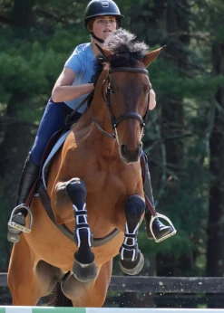 JONE SHOU INDUSTRIAL Horse Boots|Stride™ Open-Front Tendon Boots