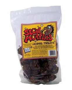 ANIMAL HEALTH INT Horse Treats|Horse Treats|Stud Muffins® Horse Treats - 90 oz