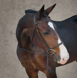 KINGS INTERNATIONAL English Bridles|Suffolk™ Classic Hunter Bridle