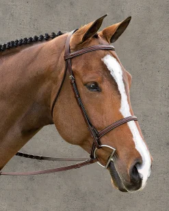 KINGS INTERNATIONAL English Bridles|Suffolk™ Classic Hunter Bridle