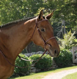 KINGS INTERNATIONAL English Bridles|Suffolk™ Classic Hunter Bridle