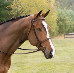 KINGS INTERNATIONAL English Bridles|Suffolk™ Classic Hunter Bridle