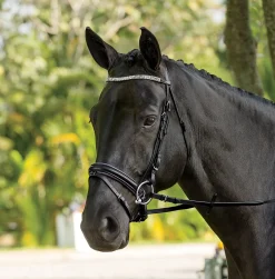 KINGS INTERNATIONAL Bridle Parts & Accessories|Suffolk™ Curved Browband