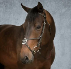KINGS INTERNATIONAL English Bridles|Suffolk™ Figure-8 Bridle