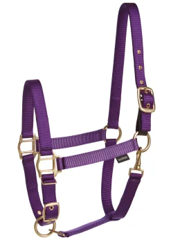 TEXT HORSE Halters|Suffolk™ Heavy Nylon Breakaway Halter with Fuse