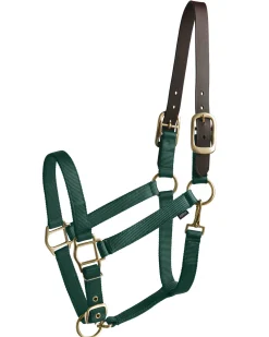 TEXT HORSE Halters|Suffolk™ Heavy Nylon Halter with Breakaway Crown