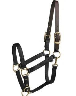 TEXT HORSE Halters|Suffolk™ Heavy Nylon Halter with Breakaway Crown