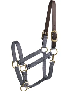 TEXT HORSE Halters|Suffolk™ Heavy Nylon Halter with Breakaway Crown