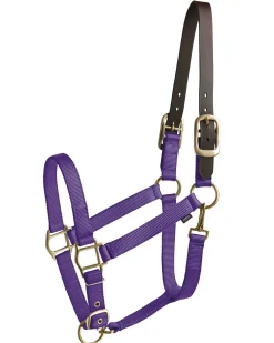 TEXT HORSE Halters|Suffolk™ Heavy Nylon Halter with Breakaway Crown