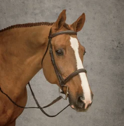 KINGS INTERNATIONAL English Bridles|Suffolk™ Hunter Bridle