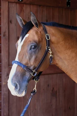 PUSHKAR INTL Halters|Suffolk™ Leather & Rope Halter with Lead