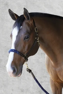 PUSHKAR INTL Halters|Suffolk™ Leather & Rope Halter with Lead