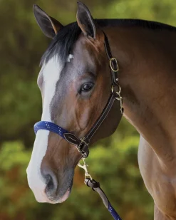 PUSHKAR INTL Halters|Suffolk™ Leather & Rope Halter with Lead