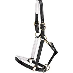 KINGS INTERNATIONAL Halters|Suffolk™ Lined Halter