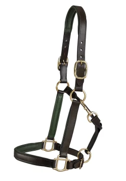 KINGS INTERNATIONAL Halters|Suffolk™ Lined Halter