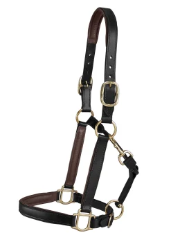 KINGS INTERNATIONAL Halters|Suffolk™ Lined Halter